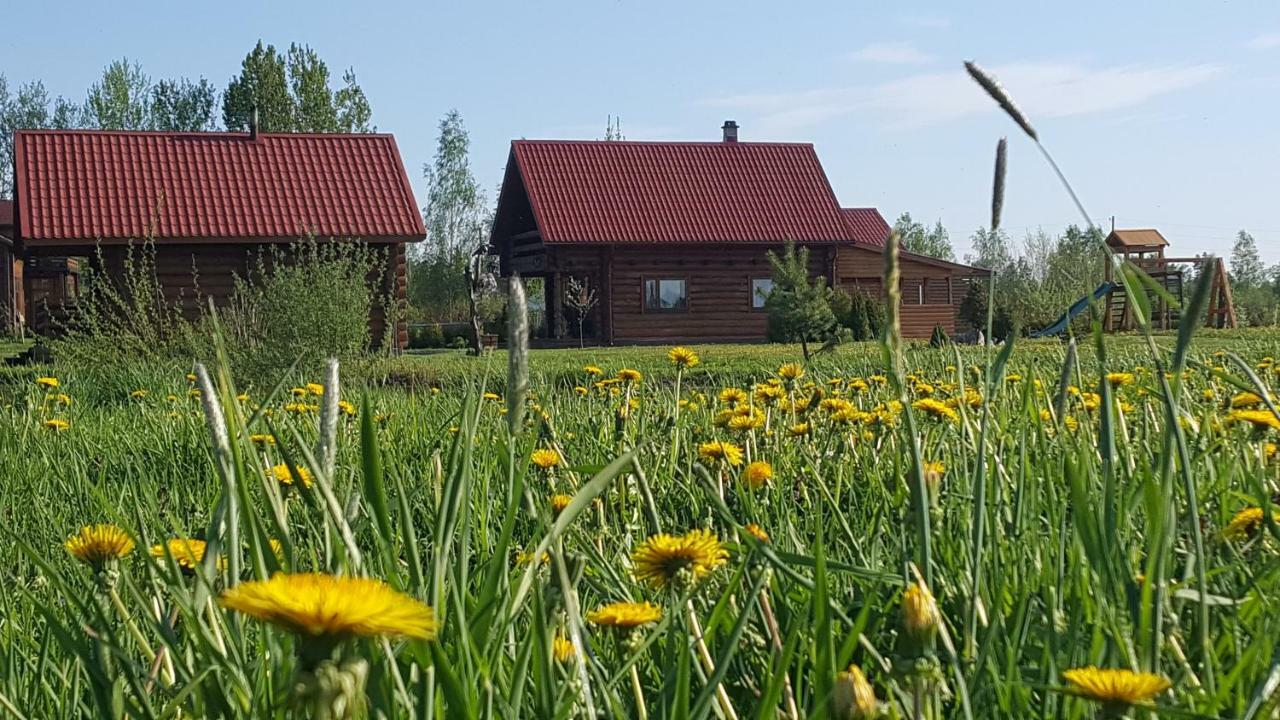 Hotel Lindiki à Salaspils Extérieur photo